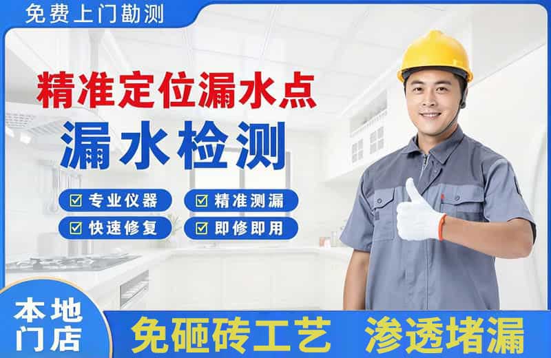 公安精准测漏点